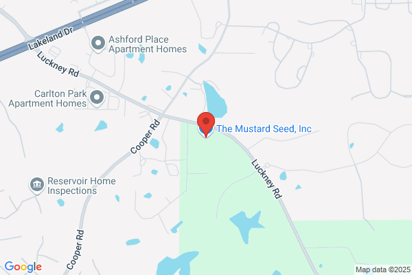 Mustard Seed Inc