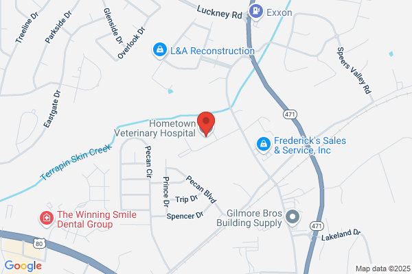 Hometown Veterinary Service