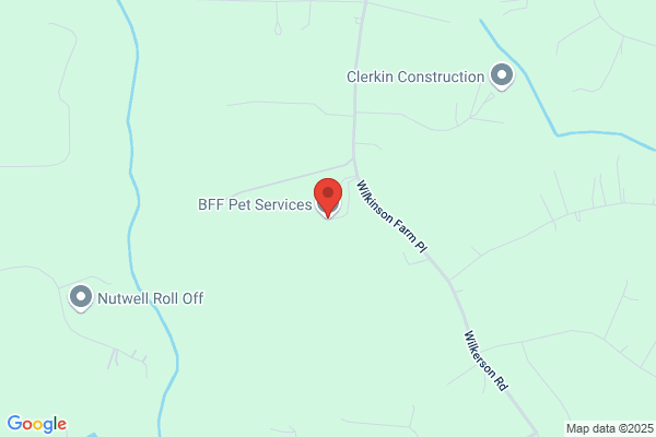 BFF Pet Services