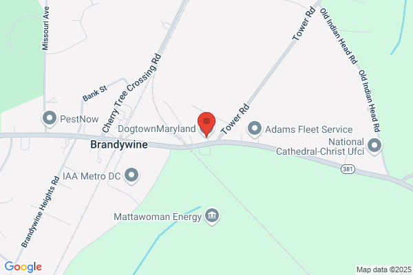 Maryland Dog Academy