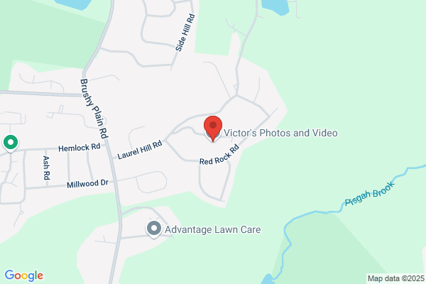 Victor's Video Services