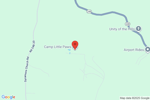 Camp Little Paws