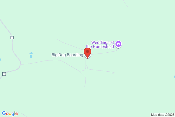 Big Dog Sportswear