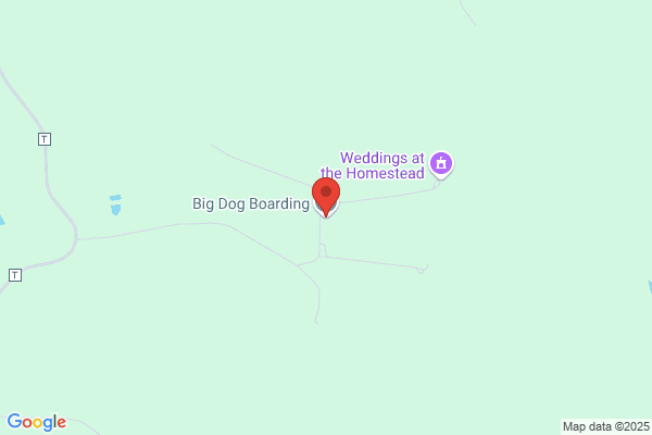 Big Dog Sportswear