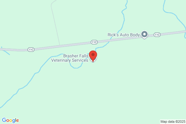 Brasher Falls Veterinary Services