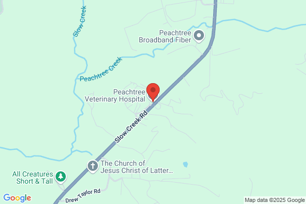 Peachtree Veterinary Hospital