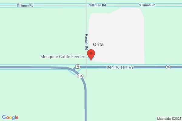 Mesquite Cattle Feeders Inc
