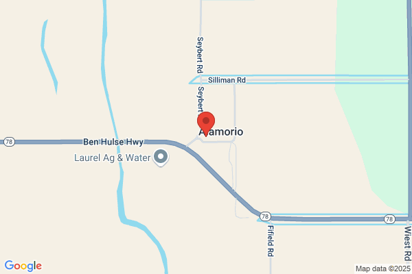 Alamorio Store