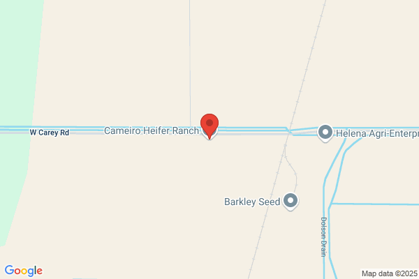 Cameiro Heifer Ranch