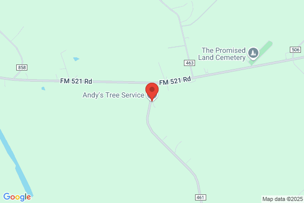 Andy's Tree Service