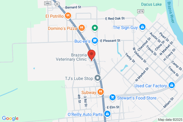 Brazoria Veterinary Clinic Pllc