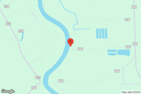Roses & the River Bed & Breakfast