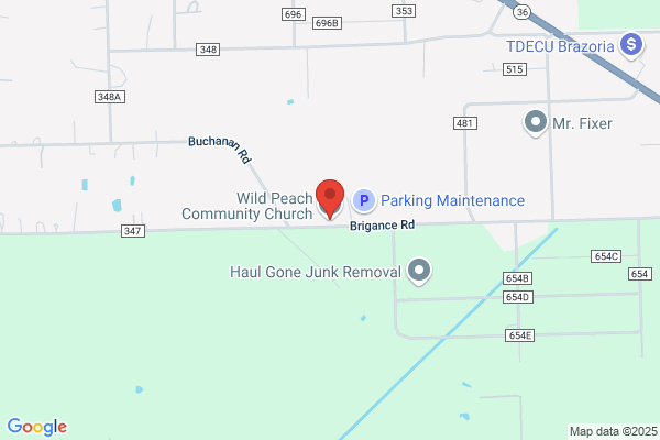 Wild Peach Automotive Center