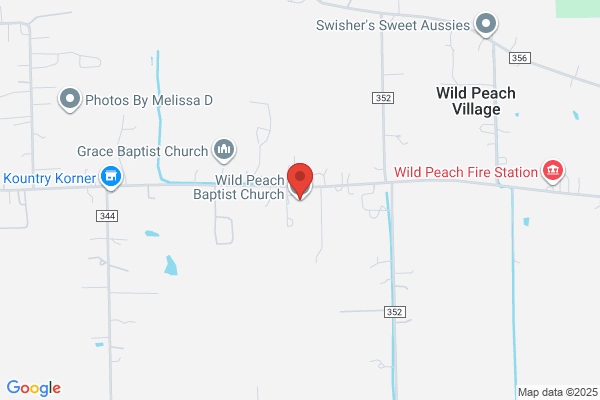 Wild Peach Baptist Church