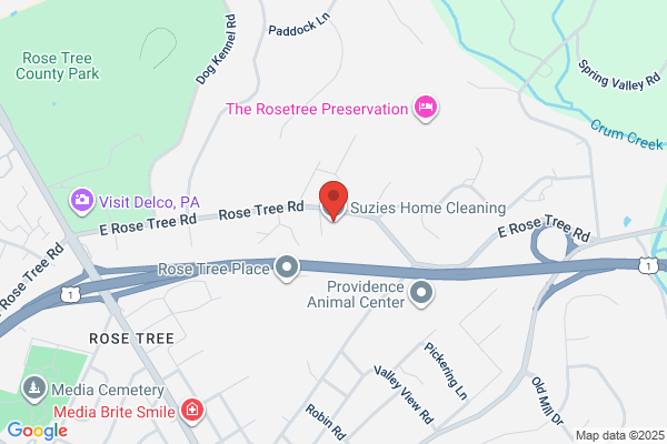 Suzie's Cleaners