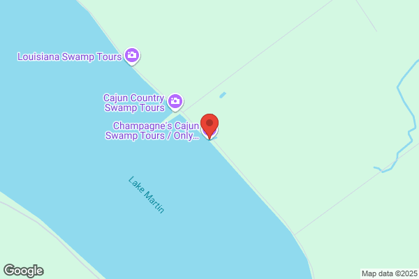 Champagne's Cajun Swamp Tours