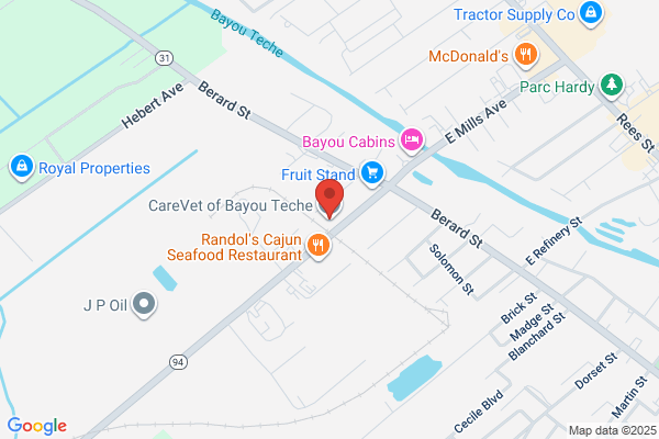 Breaux Bridge Veterinary Clinic, Professional Pet Grooming