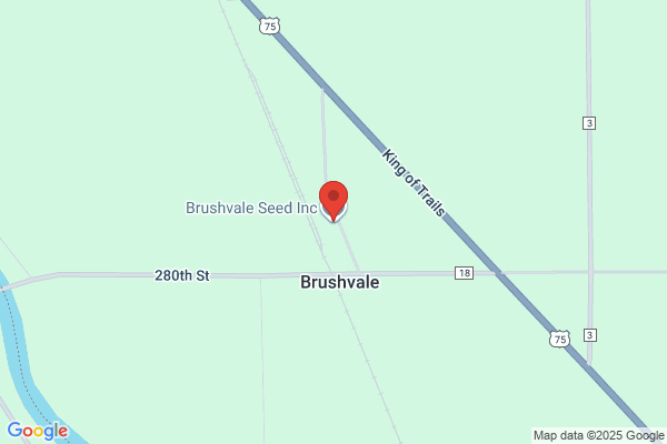 Brushvale Grain