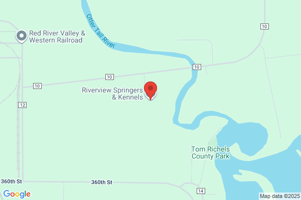 Riverview Springers & Kennels