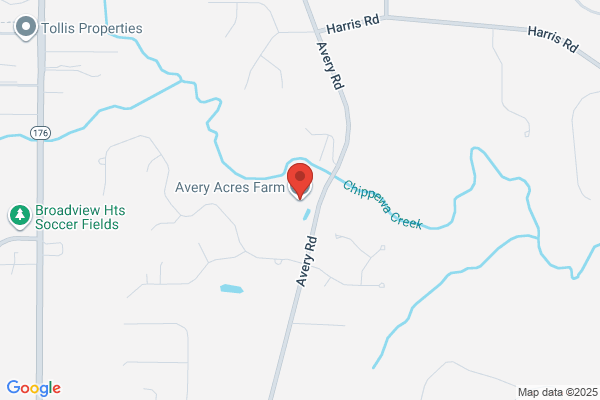 Avery Pattern Co
