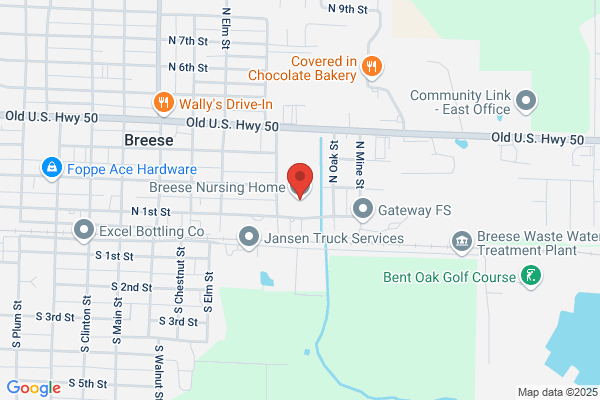 Breese Nursing Home