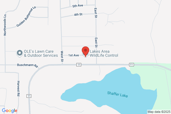 Lakes Area Wildlife Control