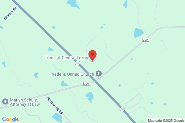 Discount Trees of Brenham