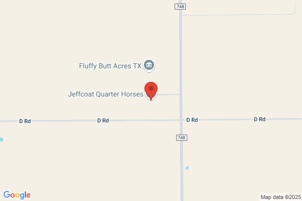 Jeftee Quarterhorses