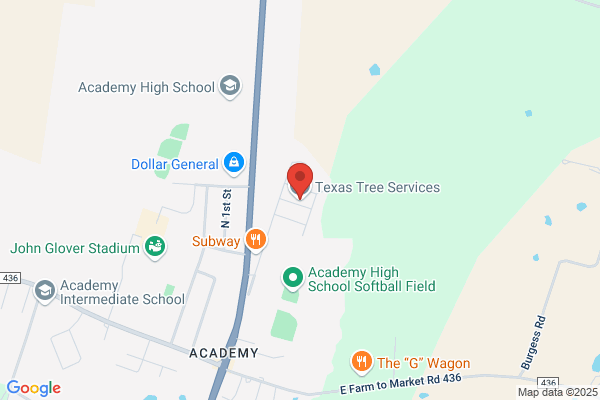 Texas Tree Services