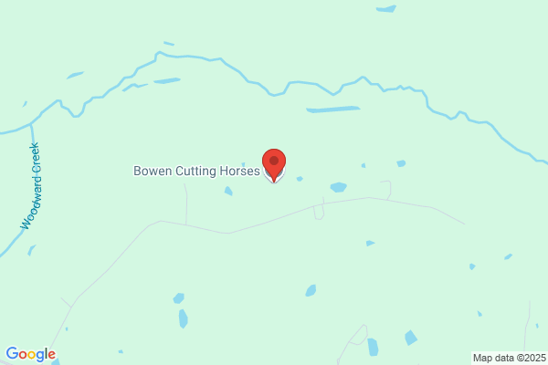 American Cutting Horse Association