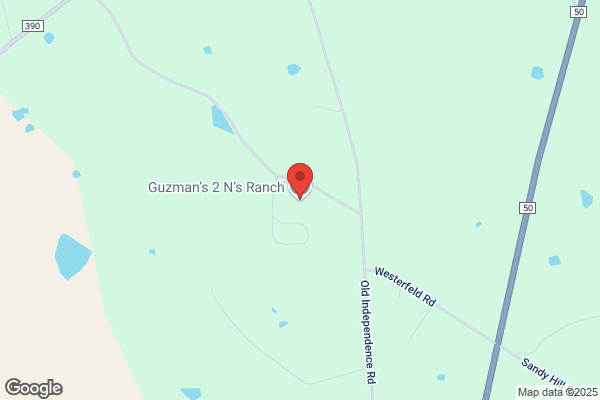 Randermann Quarter Horses