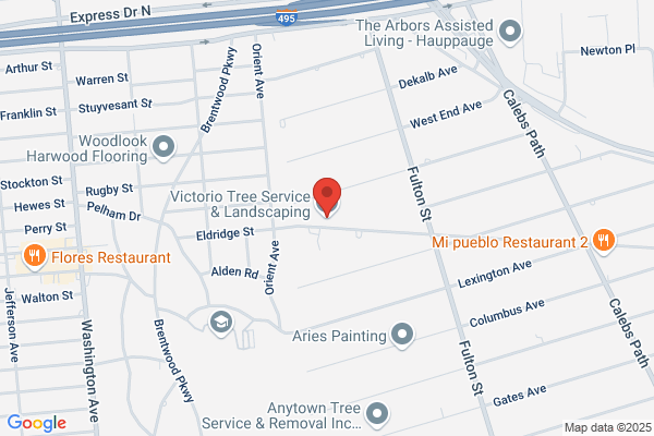 Victorio Tree Service  and  Landscaping