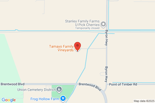 Tamayo Vineyards
