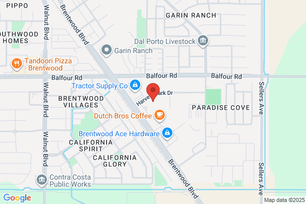 Bongiorno Termite Control, Inc