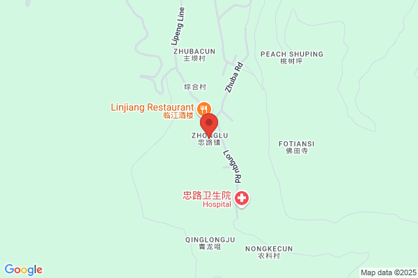 Zhongju Lu