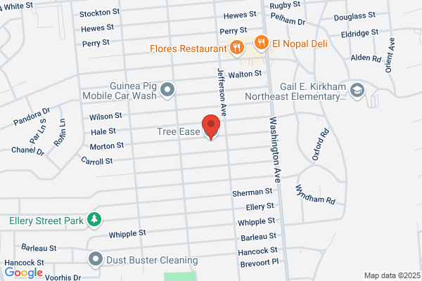 Eliseo & DB Tree Services Corp.