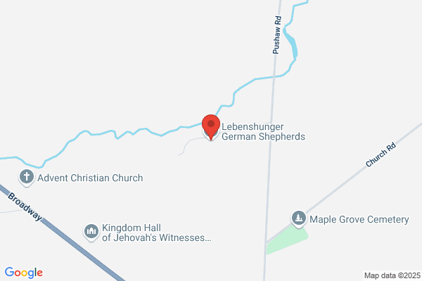 Shepherd's Godparent Home