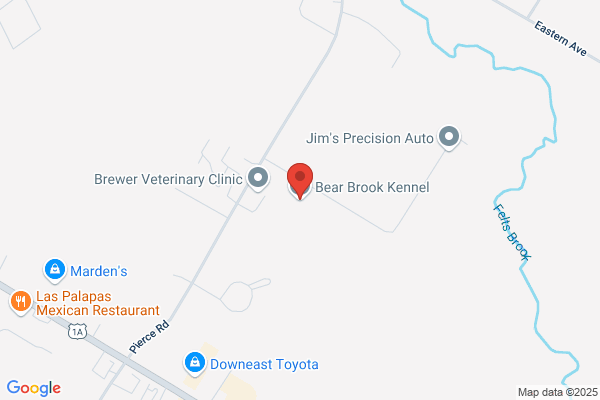 Bear Brook Kennels