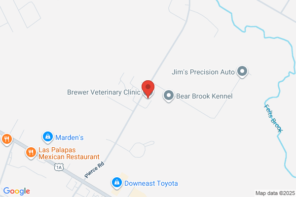 Brewer Veterinary Clinic