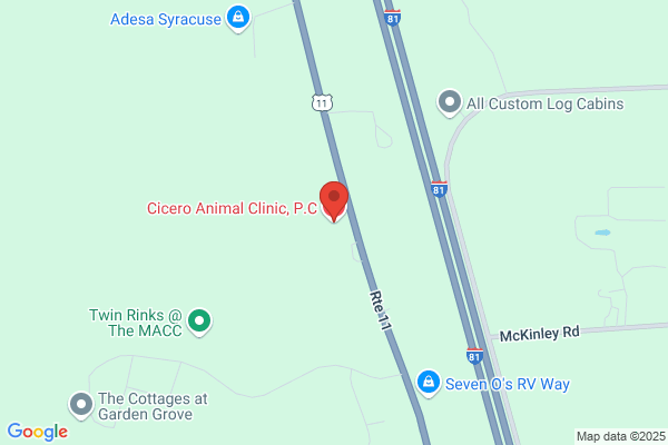 Cicero Animal Clinic, P.C