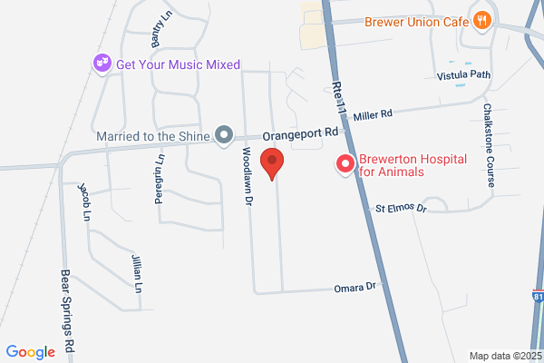A PLUS JANITORIAL SERVICES