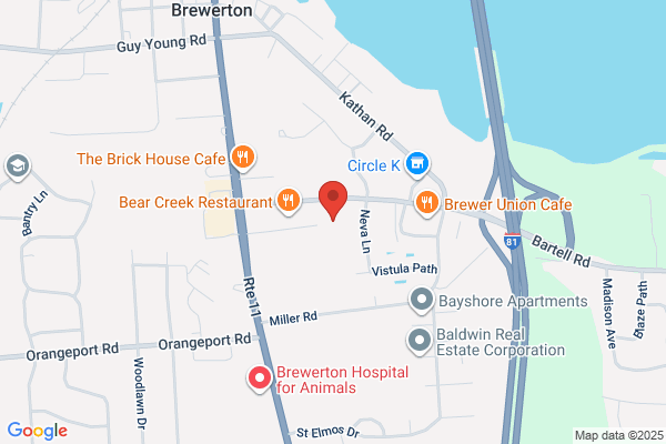 Clear Lakes Animal Wellness