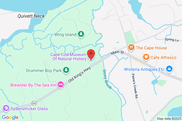 Cape Cod Museum of Natural History