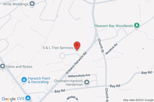 Daigle Tree Service