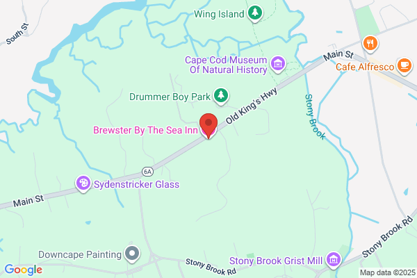 Brewster by the Sea
