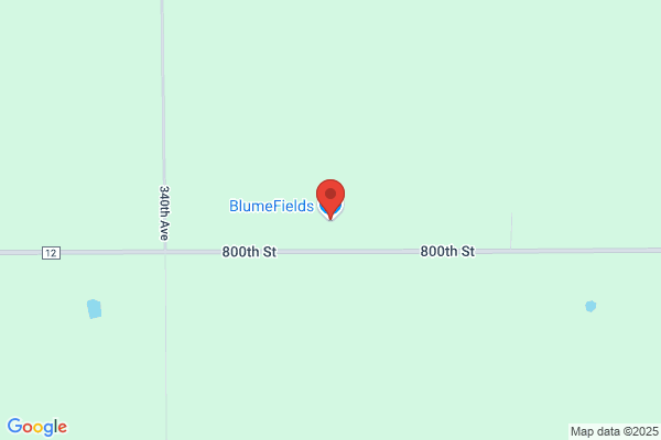 BlumeFields
