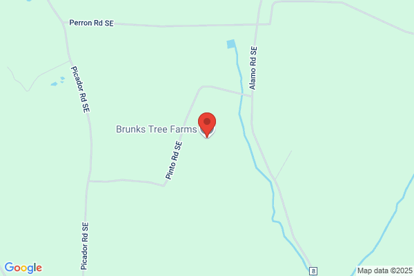 Brunk’s Tree Service