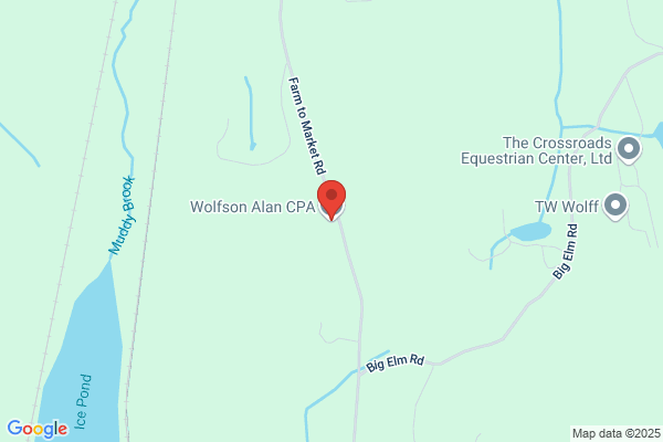 Wolfson Alan CPA