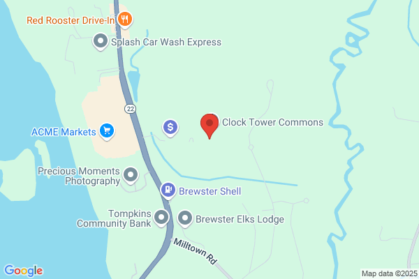 Risk Placement Services
