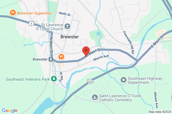 Brewster Fashions Inc